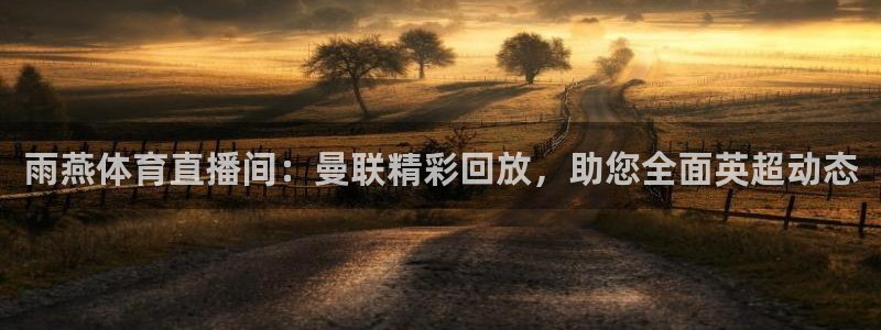 nba免费黑白直播：雨燕体育直播间：曼联精彩回放，助您全面英超动态