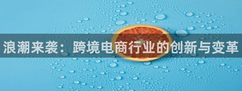 黑白直播体育在线观看nba：浪潮来袭：跨境电商行业的创新与变革