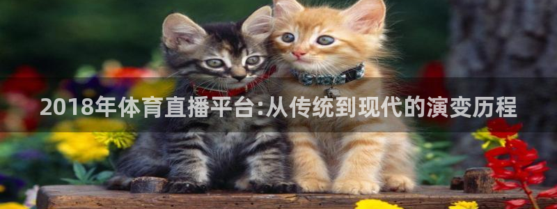 黑白直播体育nba直播下载手机版：2018年体育直播平台:从传统到现代的演变历程