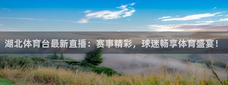 黑白直播在线观看篮球：湖北体育台最新直播：赛事精彩，球迷畅享体育盛宴！