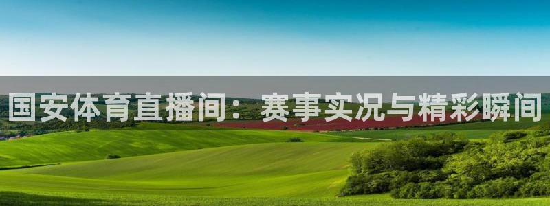 黑白直播免费高清看球：国安体育直播间：赛事实况与精彩瞬间