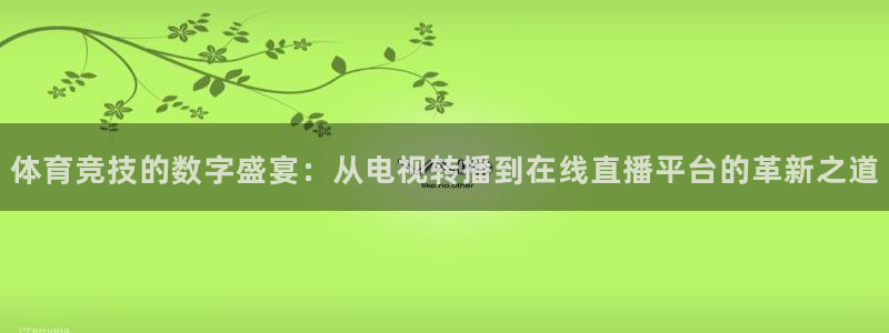 黑白直播nba免费高清在线观看：体育竞技的数字盛宴：从电视转播到在线直播平台的革新之道