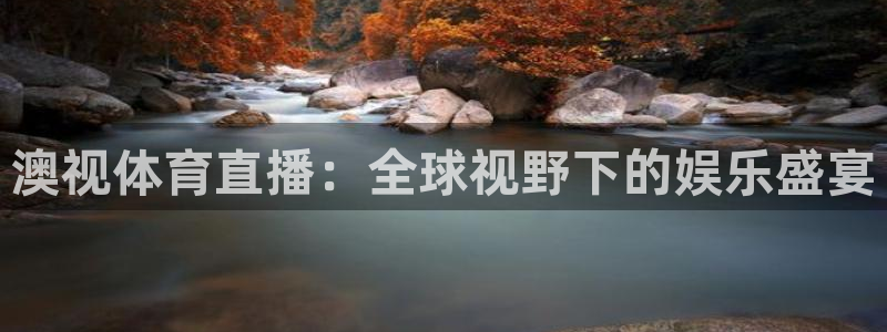 黑白直播免费体育直播：澳视体育直播：全球视野下的娱乐盛宴